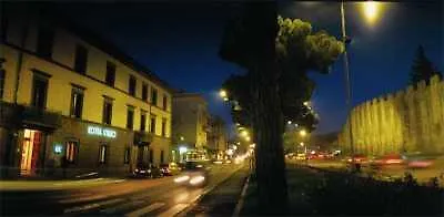 Nibbio